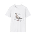 Pigeon Drone